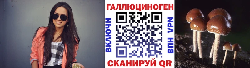 Галлюциногенные грибы Magic Shrooms  Купить закладки  Медынь 